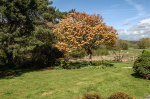 Photo 11- click for photo gallery